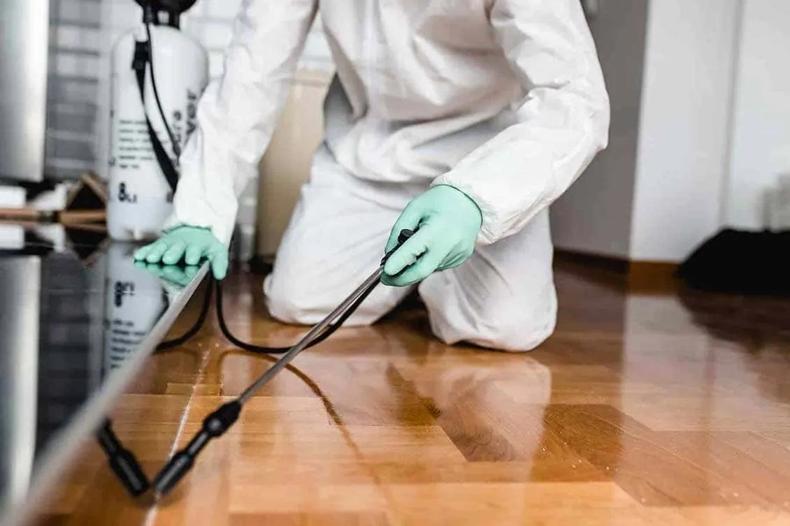 Técnico con traje de protección aplicando tratamiento en una vivienda, control de plagas en Las Palmas
