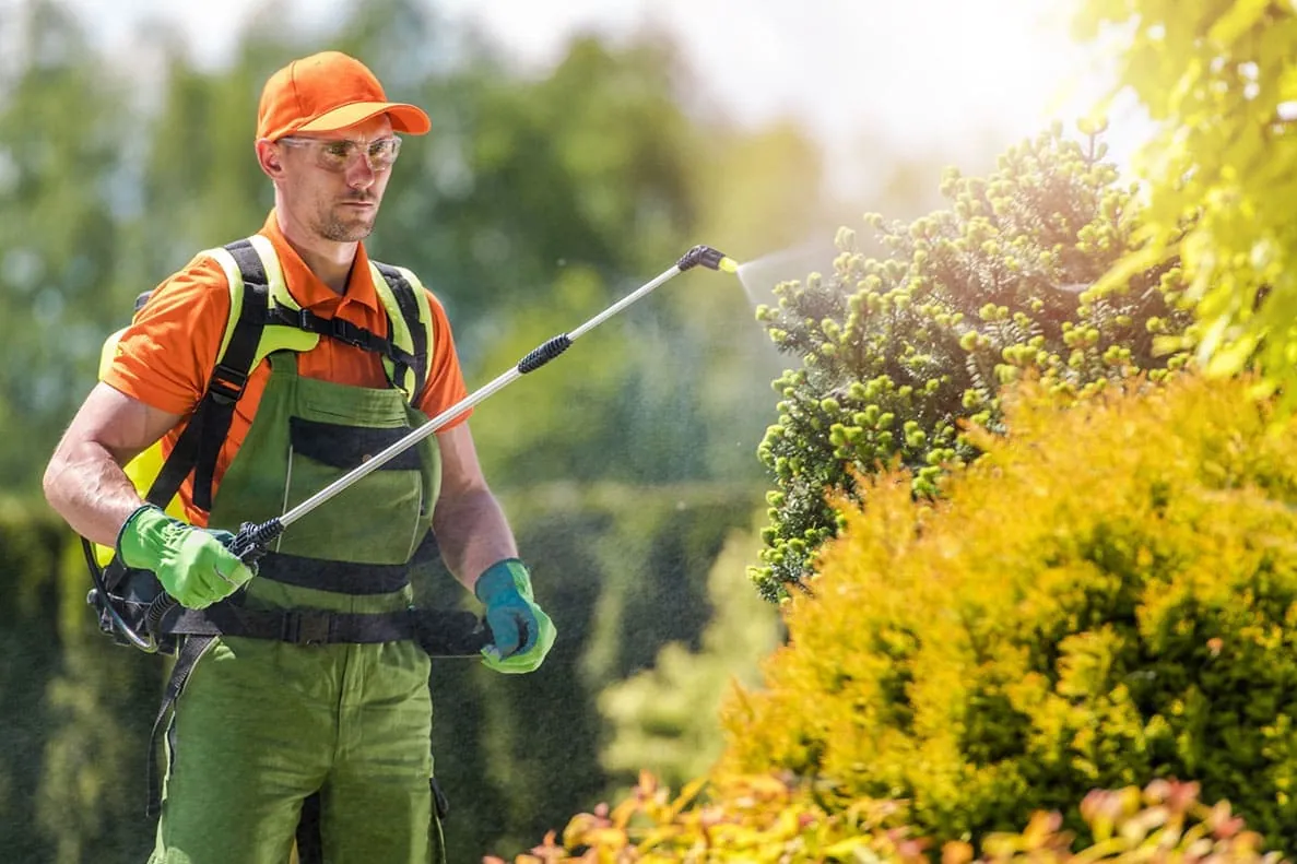 Tratamiento de plagas en un jardín, control de plagas en Gran Canaria