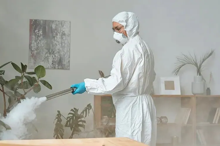 Nebulización en el interior de una vivienda durante una desinsectación en Tenerife