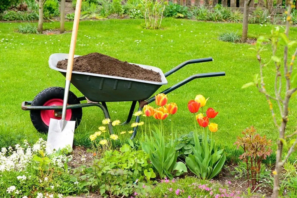 Jardineros en Las Palmas trabajando con una carretilla llena de tierra en un jardín