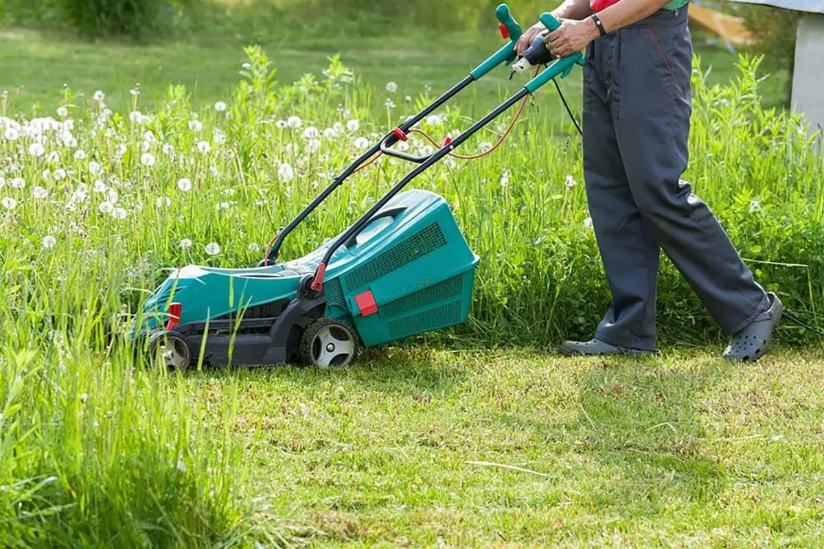 Jardinero cortando el césped con cortacésped en un jardín de Gran Canaria