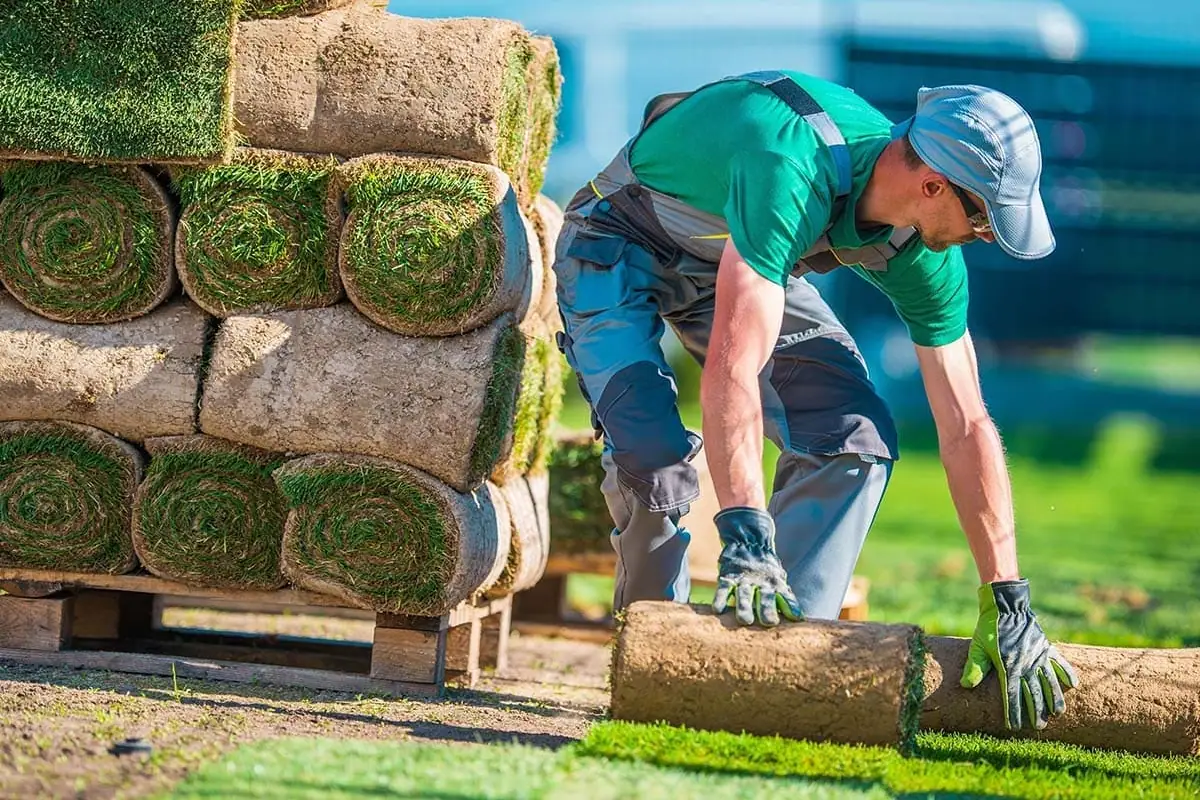 Jardinero cargando rollos de césped para una plantación en Tenerife