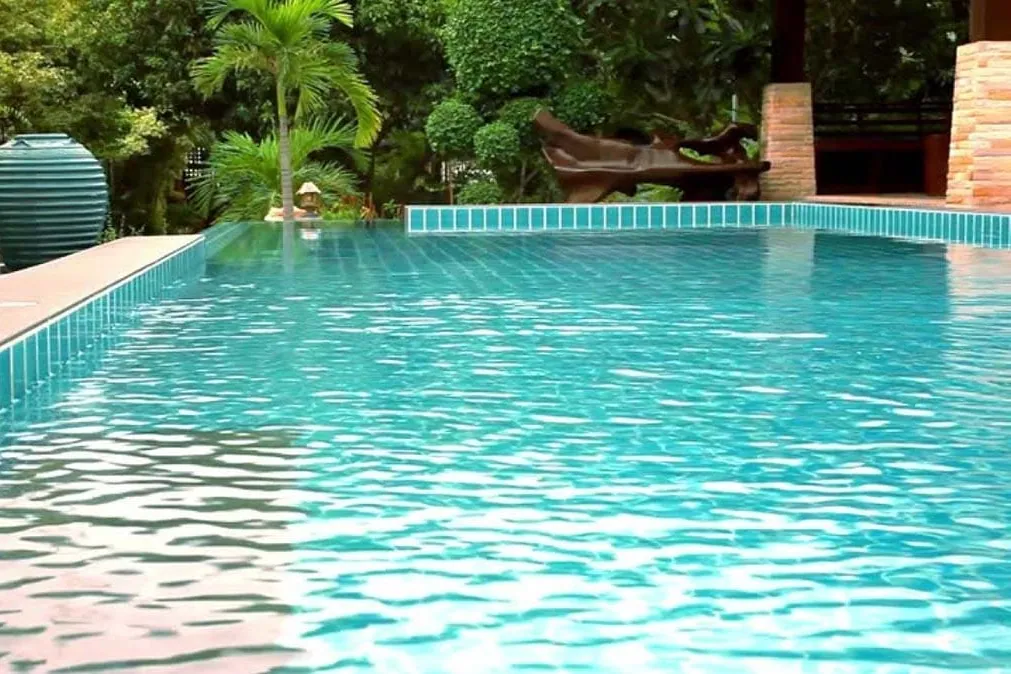 Piscina desbordante con vegetación, un tipo de vaso de obra que se construye en Gran Canaria