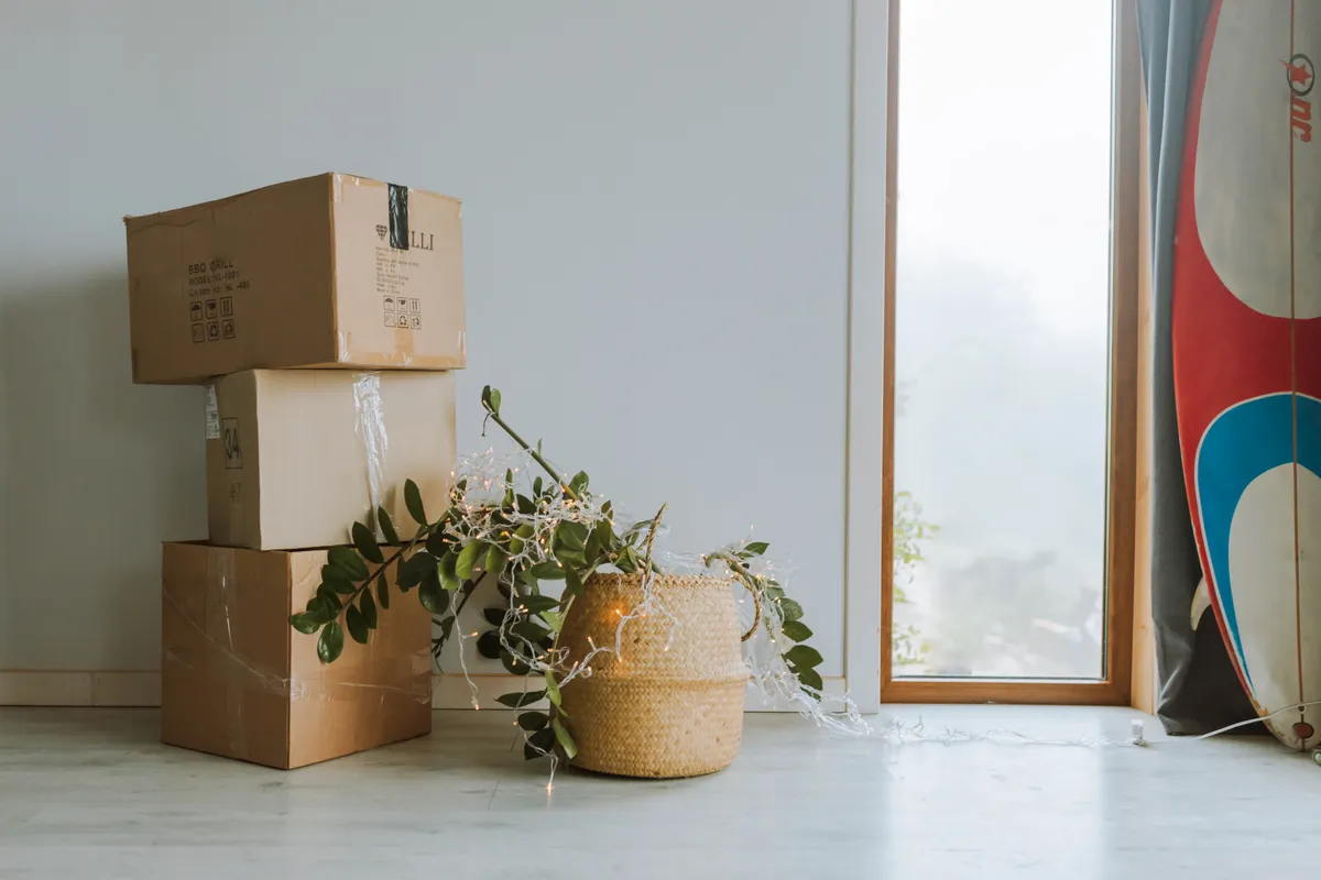 Cajas de cartón, una planta y una tabla de surf junto a una ventana en un interior acogedor