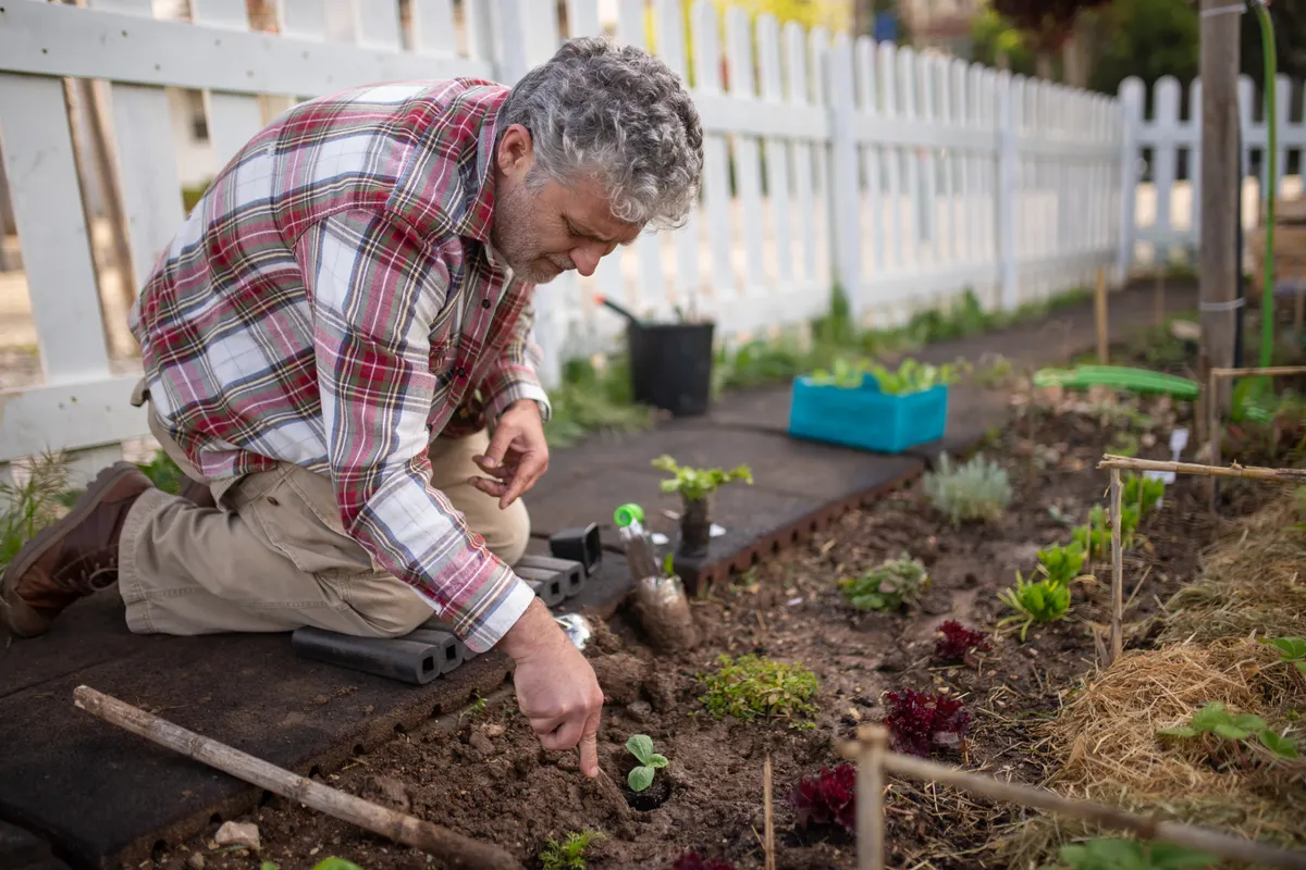 Hombre mayor arrodillado plantando en un jardín rodeado de herramientas y vegetación