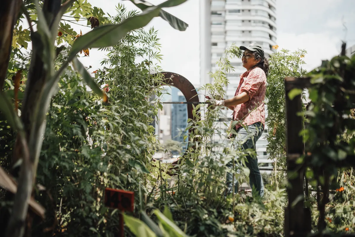 Jardinera disfrutando de un frondoso jardín en una azotea urbana rodeada de rascacielos