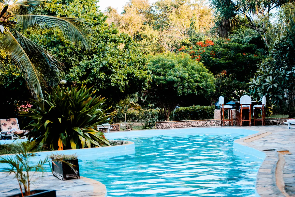 Piscina tranquila rodeada de plantas y árboles